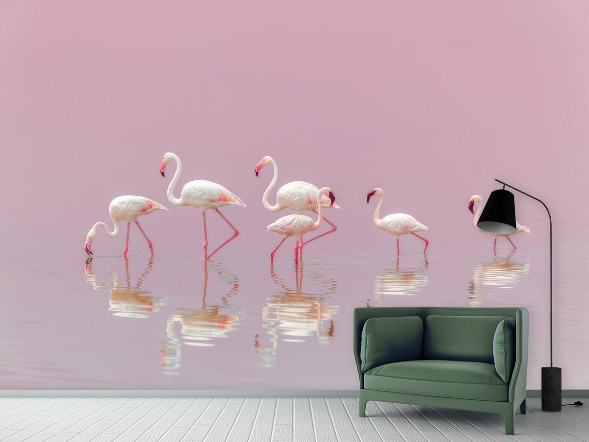 photo-wallpaper-flamingos-xyo