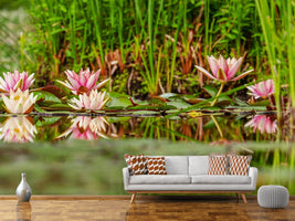 photo-wallpaper-wild-water-lilies