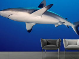 photo-wallpaper-shark-in-the-dark-sea