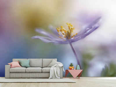 photo-wallpaper-springtime-watercolor