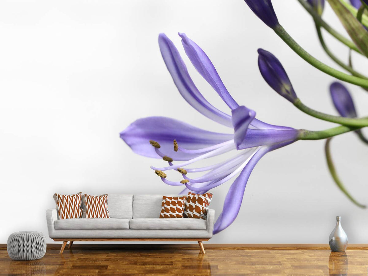 photo-wallpaper-lily-flower-in-purple