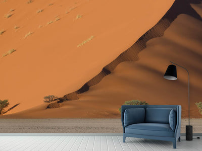 photo-wallpaper-dune-y