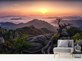 photo-wallpaper-sunrise-on-top-x