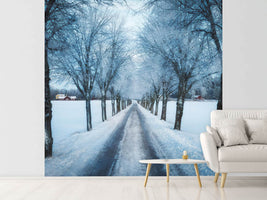 photo-wallpaper-swedish-winter-x