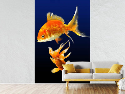 photo-wallpaper-charming-fish