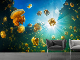 photo-wallpaper-sunlight-and-jellyfish-x