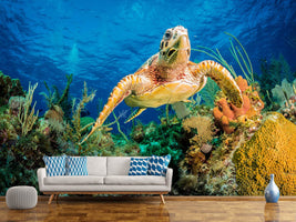 photo-wallpaper-turtle-in-the-reef