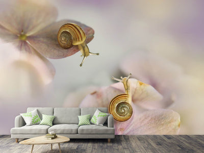 photo-wallpaper-little-snails-x