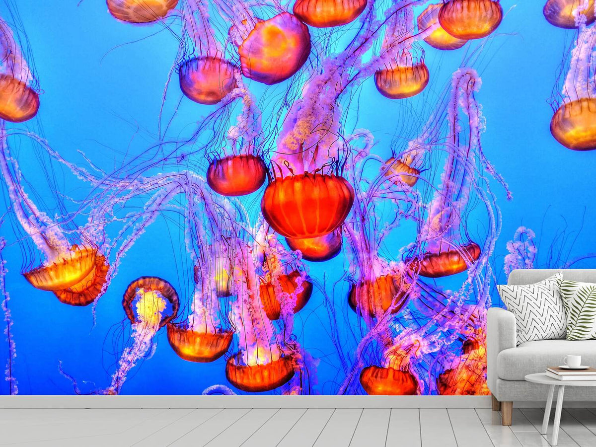 photo-wallpaper-colorful-jellyfish