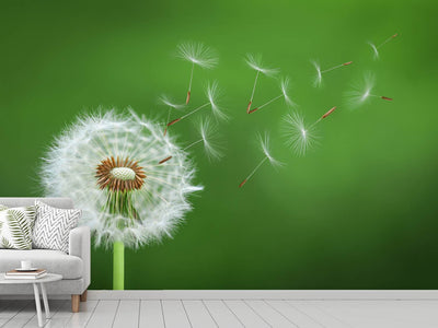 photo-wallpaper-dandelion-blowing-x