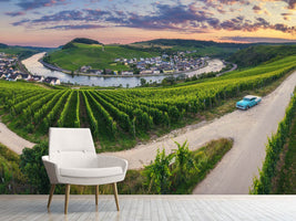 photo-wallpaper-moselle-bend-with-vineyards