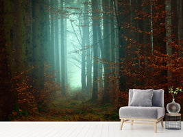 photo-wallpaper-mood-in-the-forest