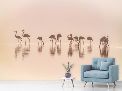 photo-wallpaper-flamingos-in-the-mist-x