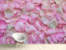 photo-wallpaper-rose-petals-in-pink-ii