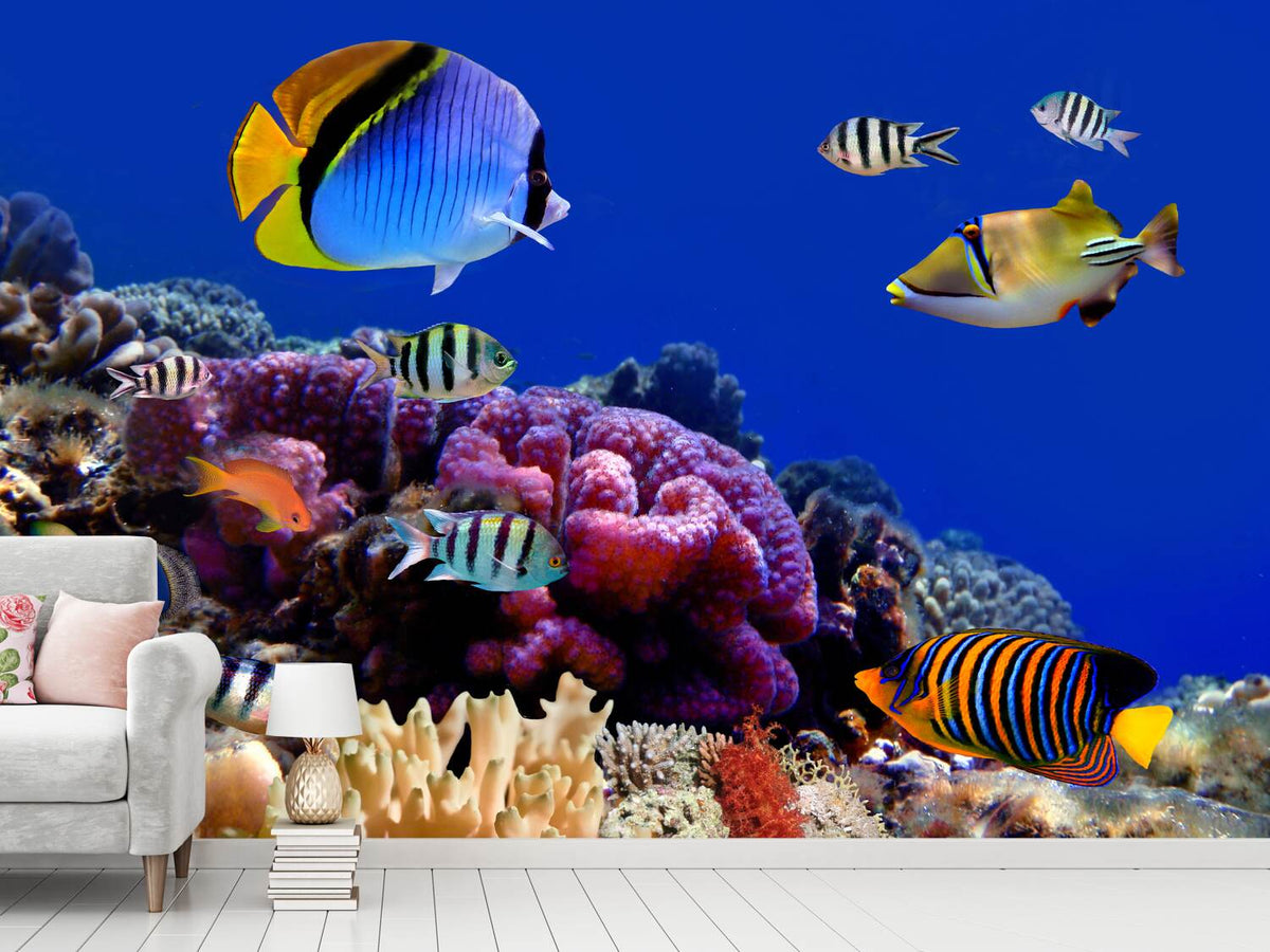 photo-wallpaper-world-of-fish