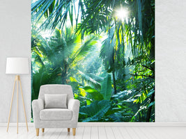 photo-wallpaper-in-tropical-forest