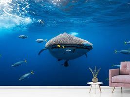 photo-wallpaper-under-the-waves