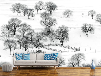 photo-wallpaper-bashang-winter