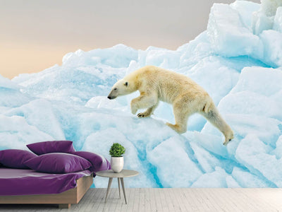 photo-wallpaper-polar-bear-at-svalbard-x