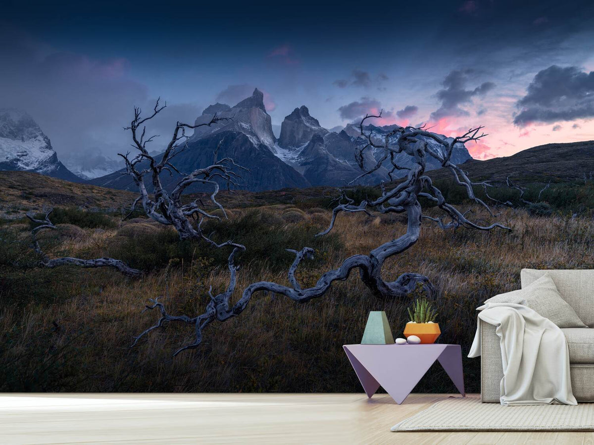 photo-wallpaper-torres-del-paine-x