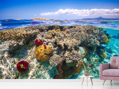 photo-wallpaper-mayotte-the-reef