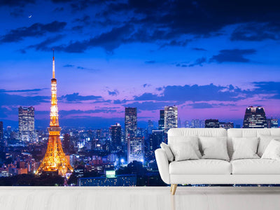 photo-wallpaper-tokyo-night-view