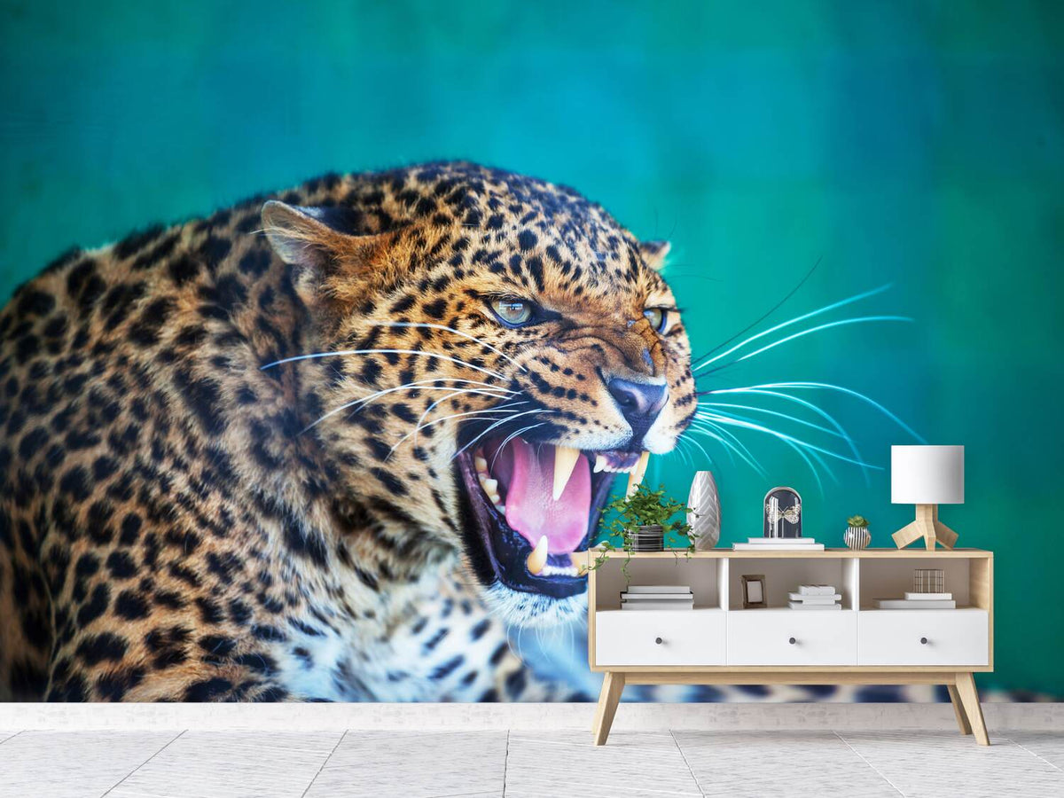 photo-wallpaper-attention-leopard