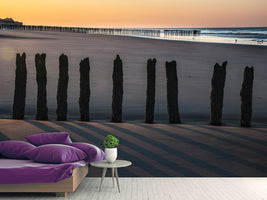 photo-wallpaper-calais-beach-ii