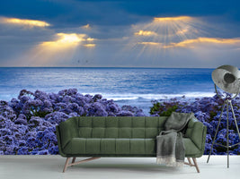 photo-wallpaper-lavender-and-sea