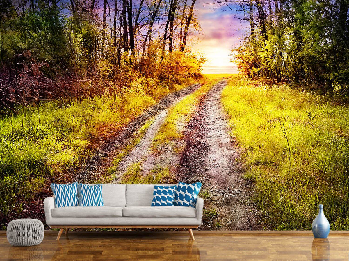 photo-wallpaper-the-forest-path