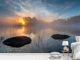 photo-wallpaper-morning-sun-x