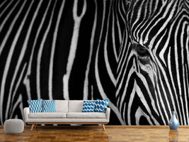 photo-wallpaper-stripes-xgh