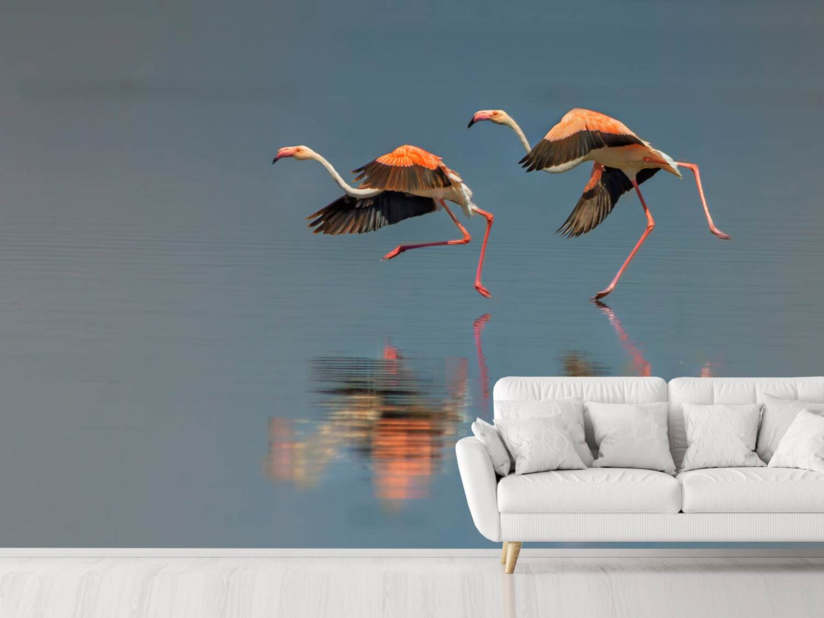 photo-wallpaper-flamingo-landing-x