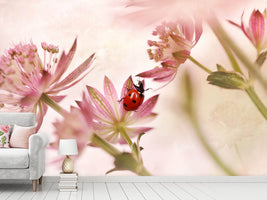 photo-wallpaper-ladybird-and-pink-flowers-x