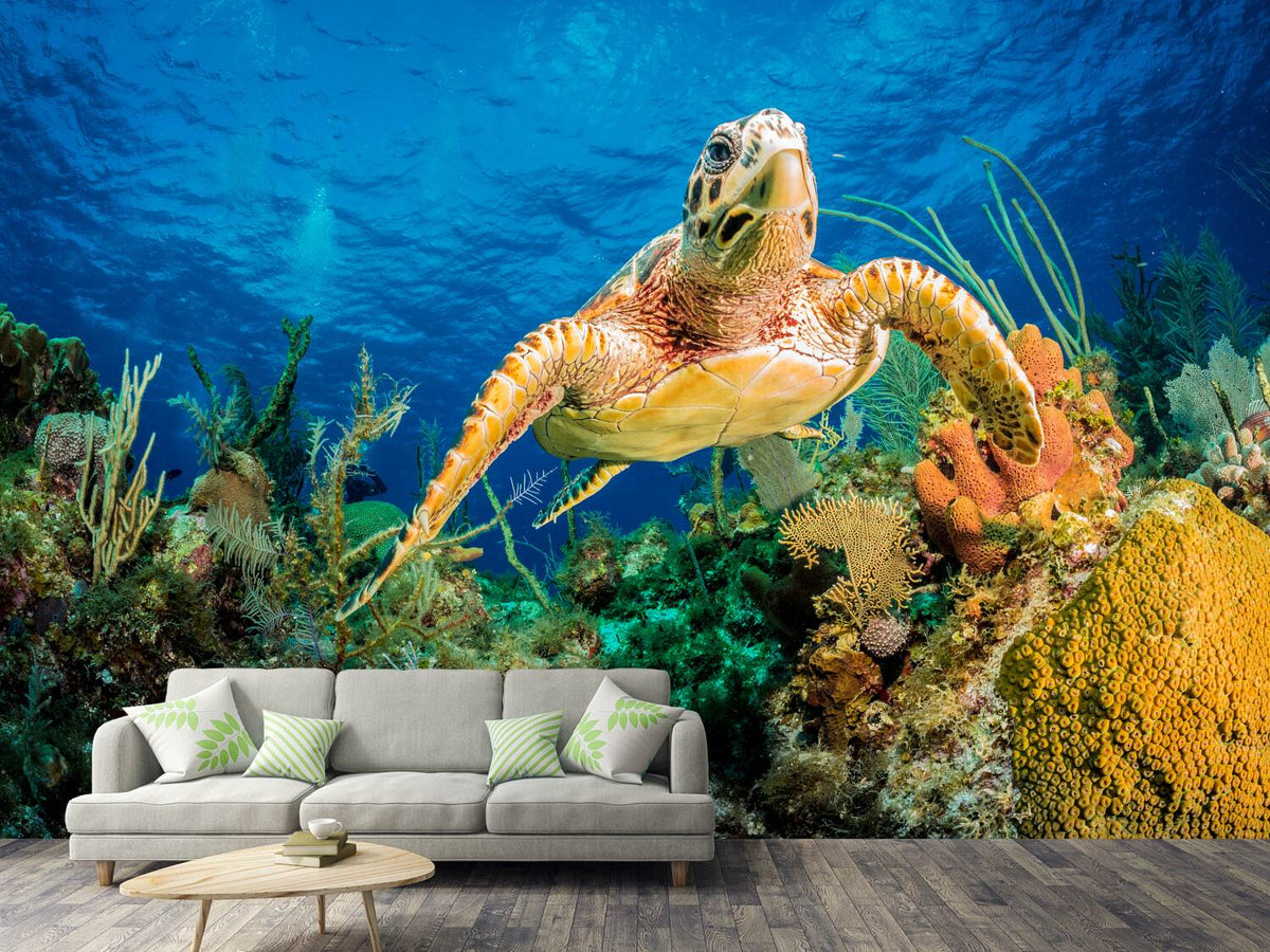 photo-wallpaper-turtle-in-the-reef