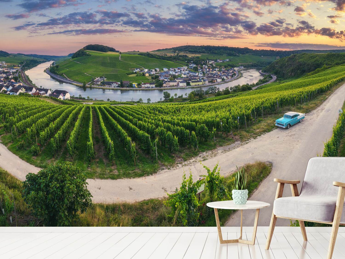 photo-wallpaper-moselle-bend-with-vineyards