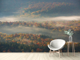 photo-wallpaper-misty-morning-ii-a