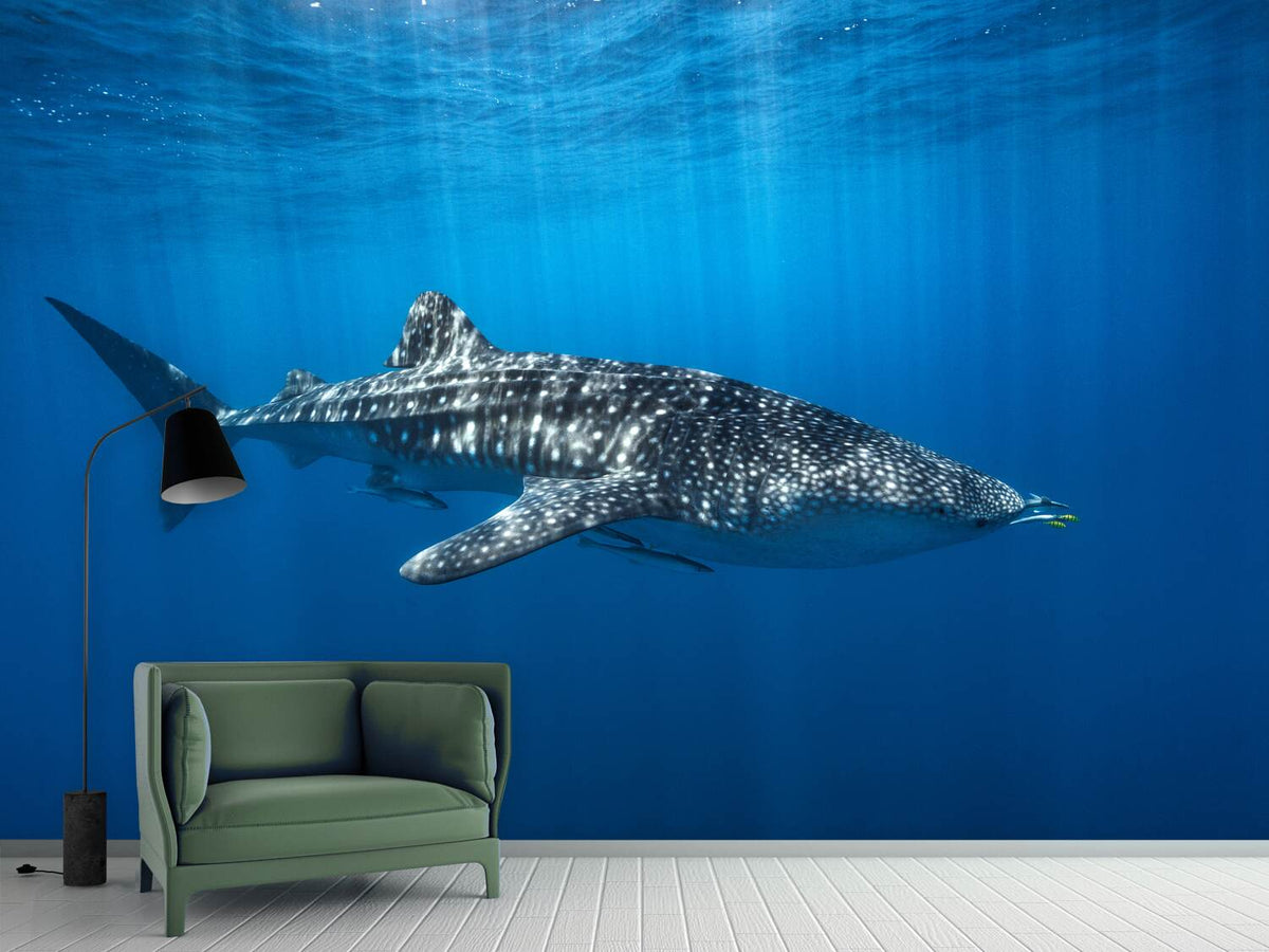 photo-wallpaper-whale-shark-in-the-blue-x