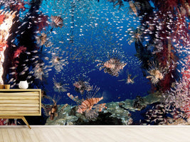 photo-wallpaper-lionfish-party-x