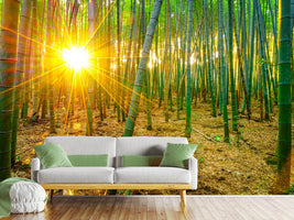 photo-wallpaper-bamboos