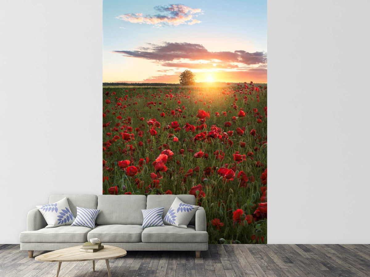 photo-wallpaper-poppy-fields-of-sweden