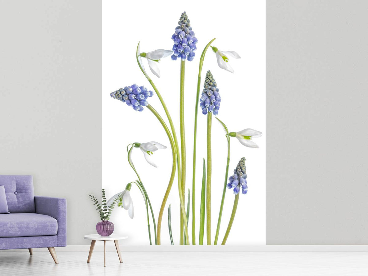 photo-wallpaper-muscari-and-galanthus