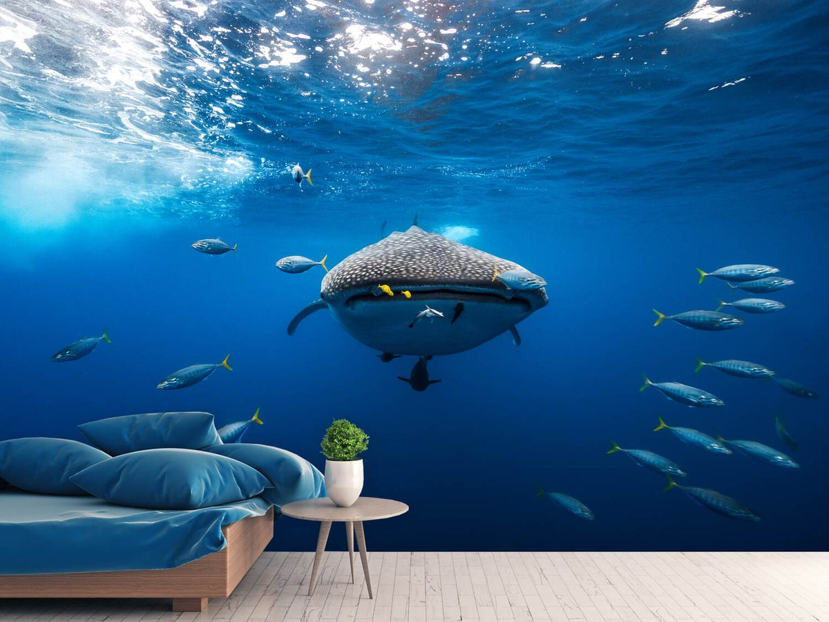 photo-wallpaper-under-the-waves