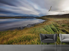 photo-wallpaper-stillness-x