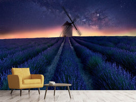 photo-wallpaper-lavender-night-x