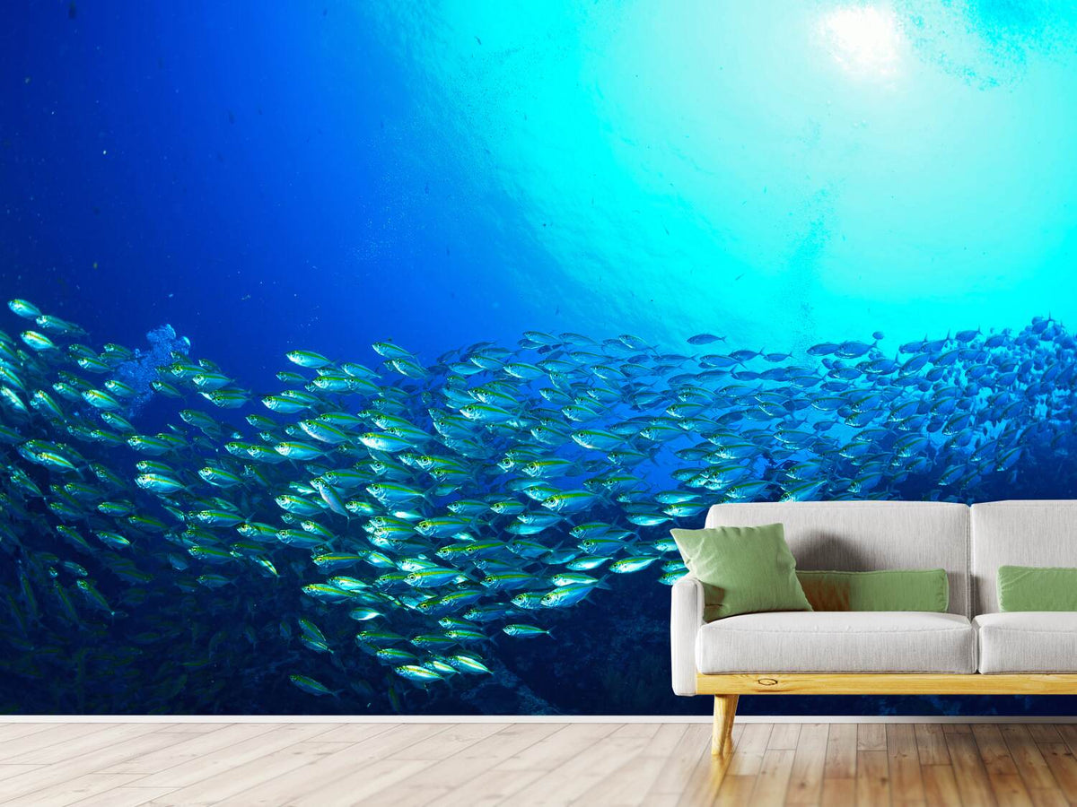 photo-wallpaper-shoal-of-fish