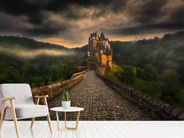 photo-wallpaper-eltz