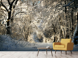 photo-wallpaper-a-winter-dream