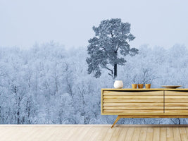 photo-wallpaper-first-snow-x