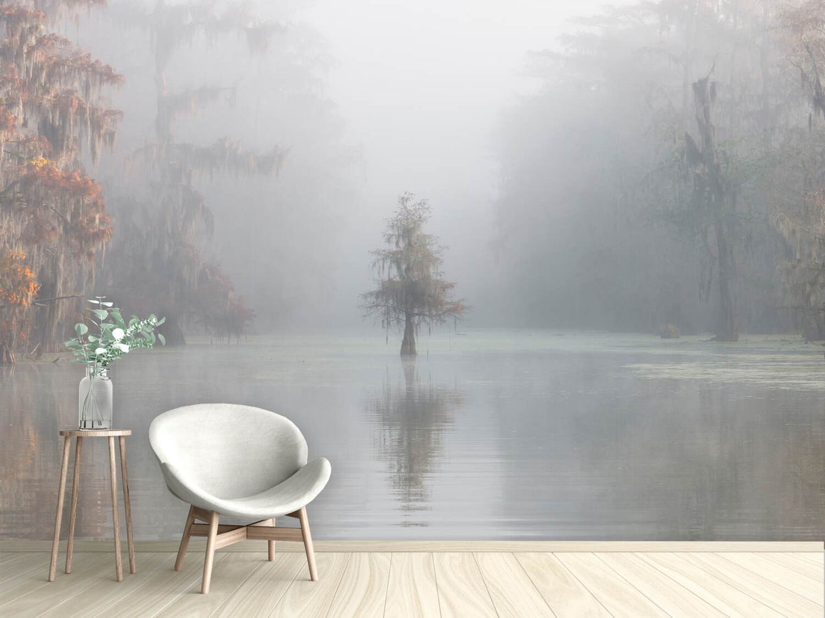 photo-wallpaper-misty-bayou-xkt